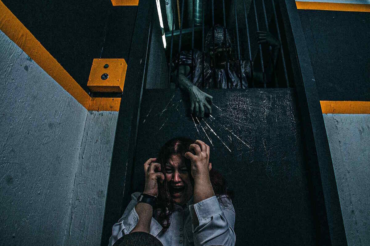 Фото квеста