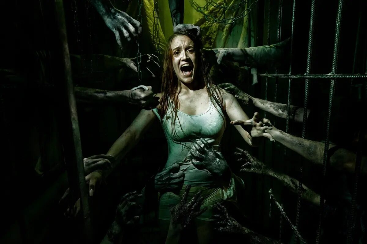 Фото квеста «Проект Psycho»