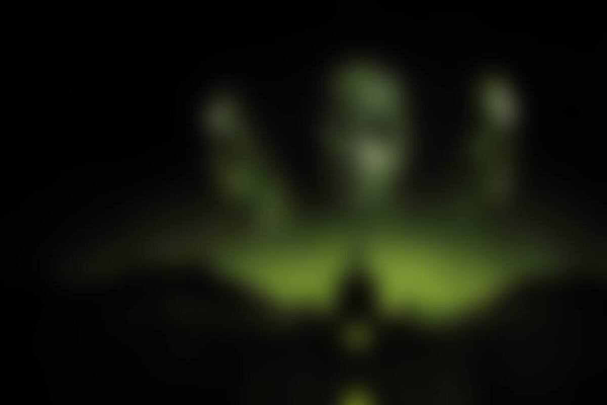 Фото квеста «Outlast»