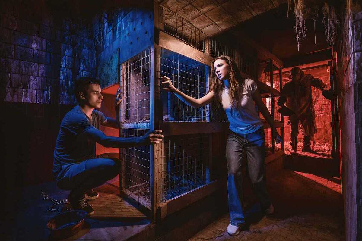 Фото квеста