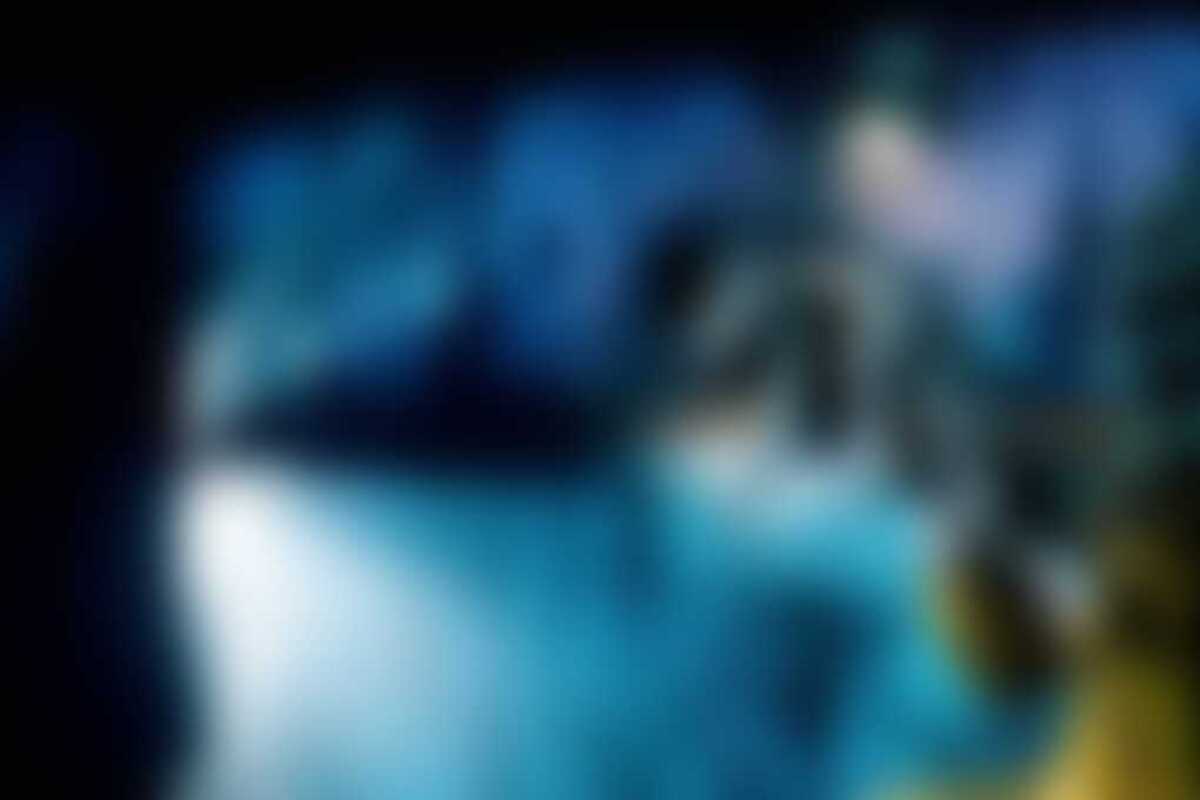 Фото квеста