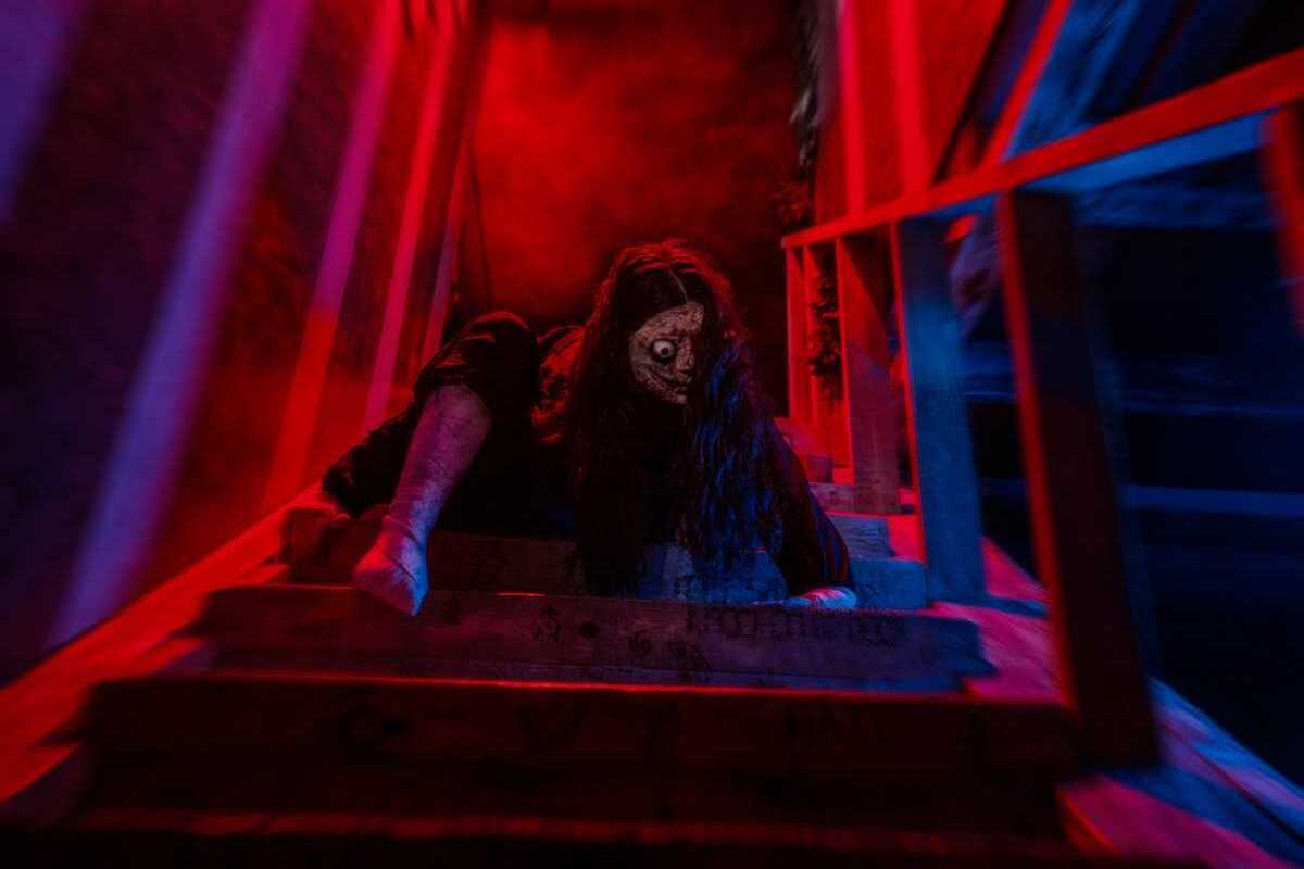 Фото квеста