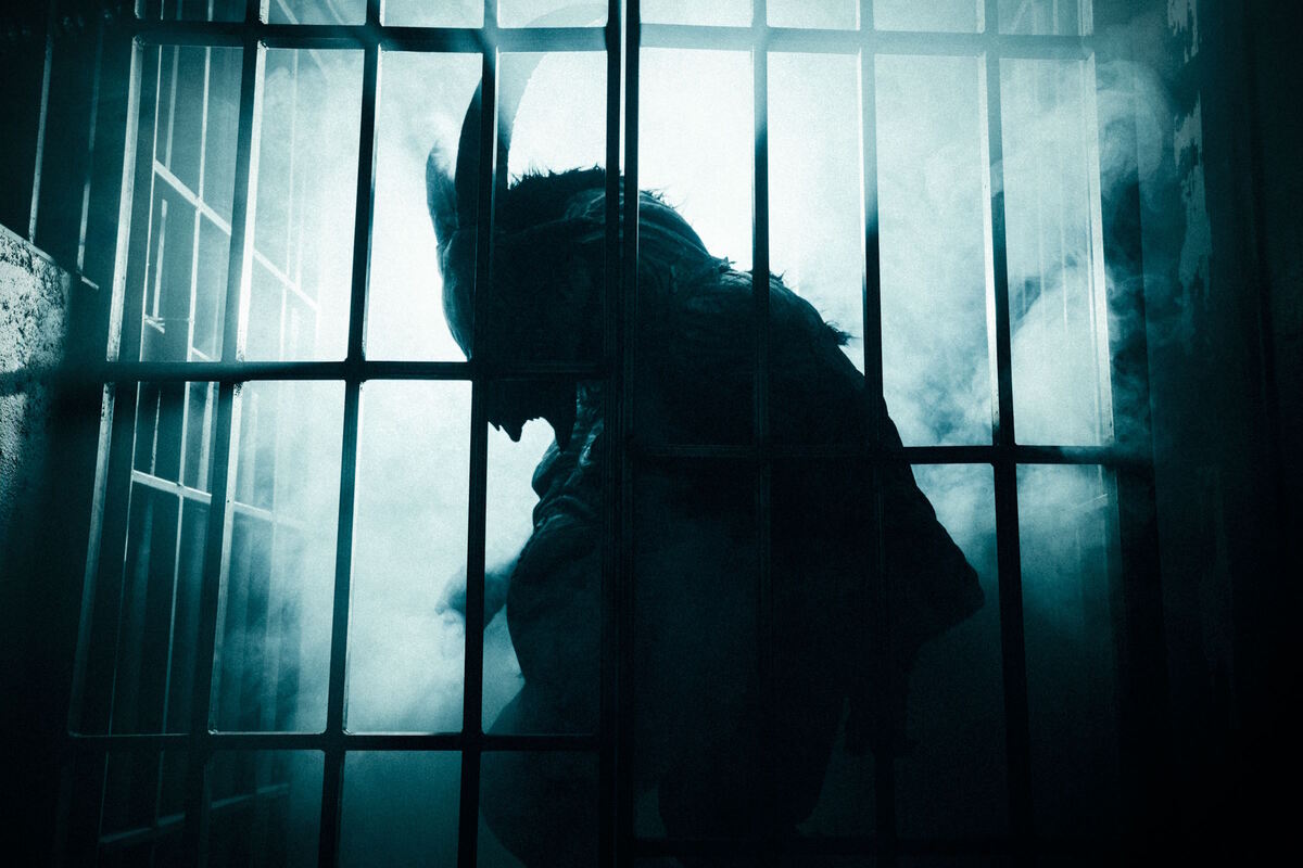 Фото квеста