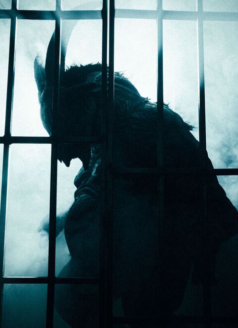 Картинка квеста - Смотри, как они дышат