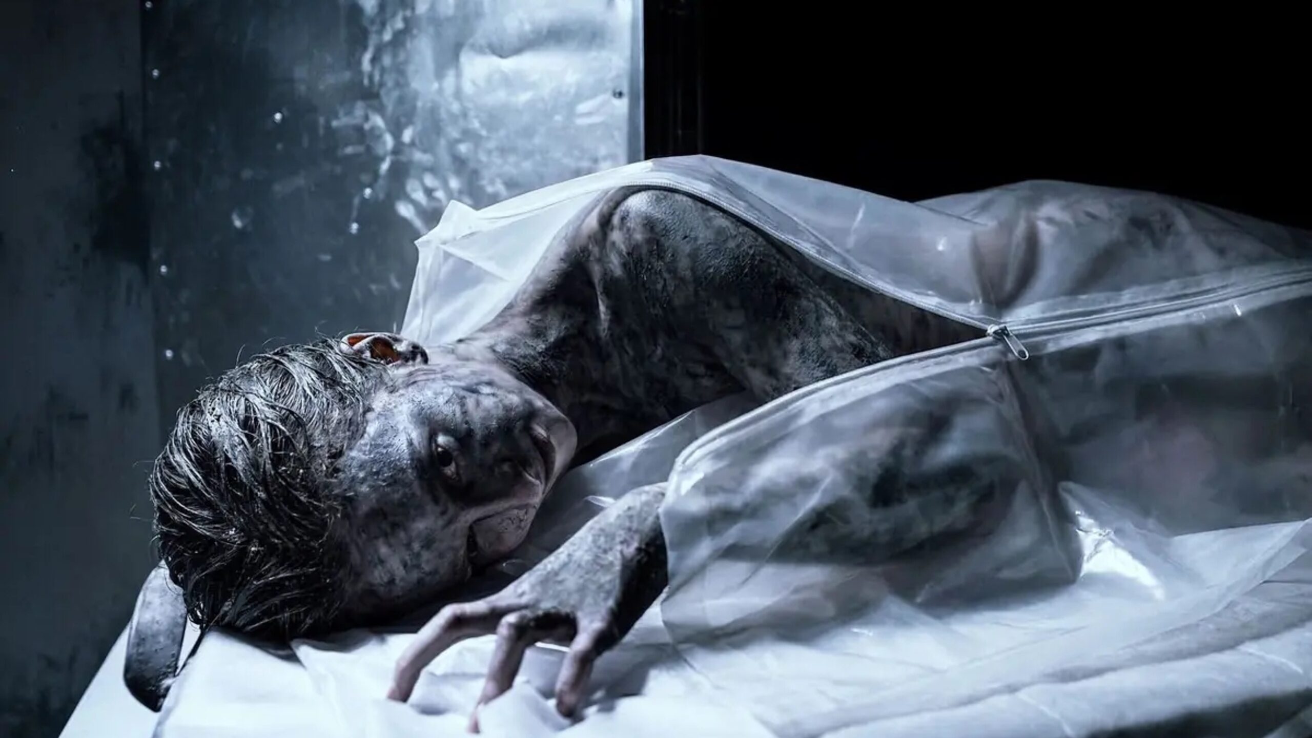 Перформанс «The Mortuary Assistant» — обложка
