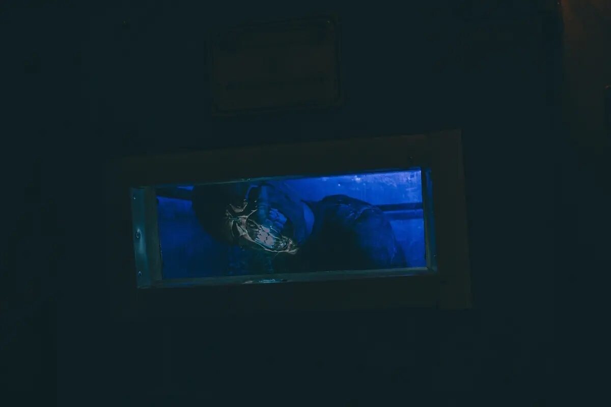 Фото квеста «Resident Evil»